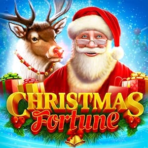 Christmas Fortune 96 screenshot